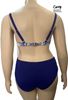 Picture of CURVY GIRL BIKINI TUMMY CONTROL HIGH WAISTED